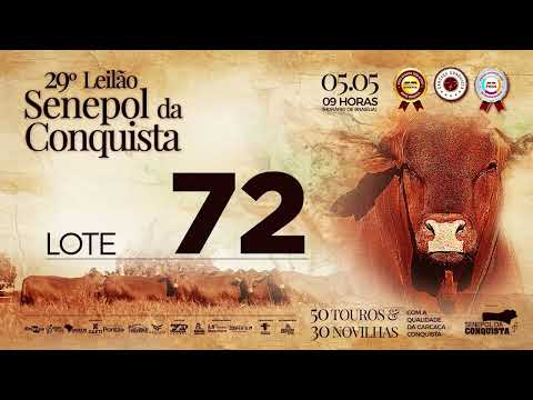 LOTE 72 CONQ 2586