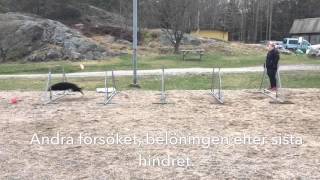 Basic Grid pass 2