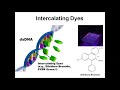 Nucleic Acid Biochemistry and Diagnostic Applications