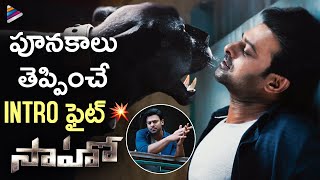 Prabhas Stunning Introduction Fight Scene | Saaho Telugu Movie Scenes | Shraddha Kapoor | Sujeeth