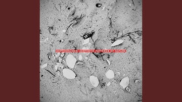Aesthetics, Imagination, and the Sublime (2021 Remaster)