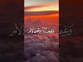 الآية ٤٤ من سورة هود القارئ إسلام صبحي 