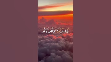 الآية ٤٤ من سورة هود | القارئ إسلام صبحي