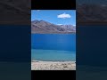 Beautiful colors of Pangong lake #ladakh #pangong #lake #colors #serene