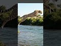 Cheetah Jumps 50 Feet Across River to Hill | World’s Most Fearless Wild Jump 🐆🔥