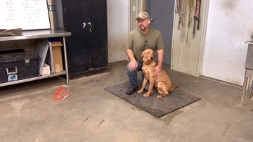 Ares Force Fetch Primer and Give