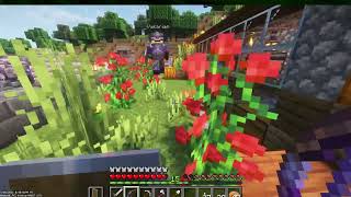 Minecraft | PC | Is this an MMO? | (17)