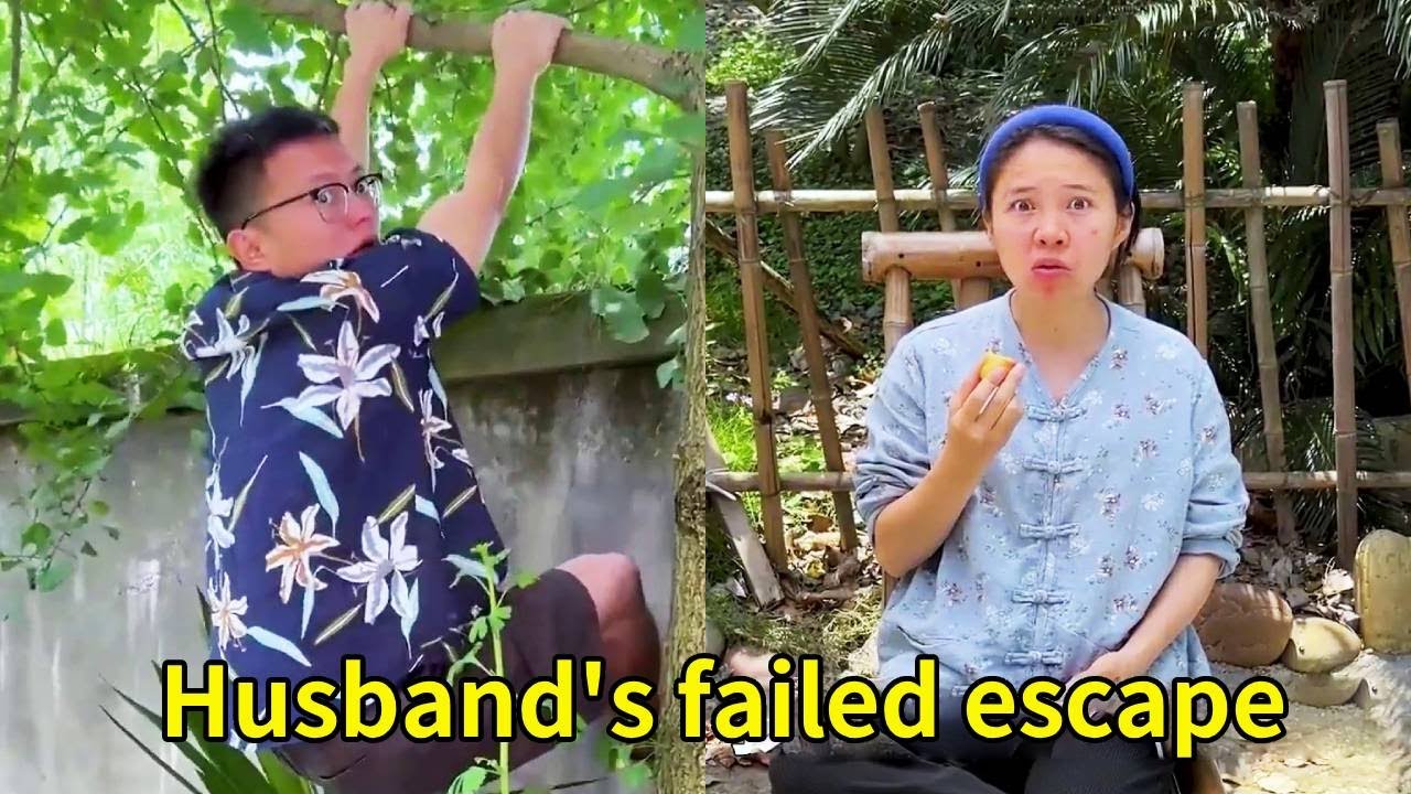 The husband climbed a tree to sneak out for drinks, but his wife discovered him