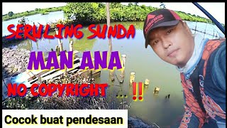 SERULING SUNDA MAN ANA NO COPYRIGHT