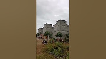 Swiftlet House