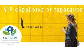 VIP обработка от тараканов в Краснодаре. 8-918-982-52-92