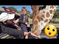 CLOSE ENCOUNTER WITH A GIRAFFE AT FOSSIL RIM!!! 🦒🦓🐴