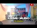 Lagu daerah jambi kerbau jalang  vocmuslimin  kdjwarid lbr