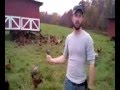 Grazin' Angus Acres' Keith Gibson On Cow Poop & Chickens