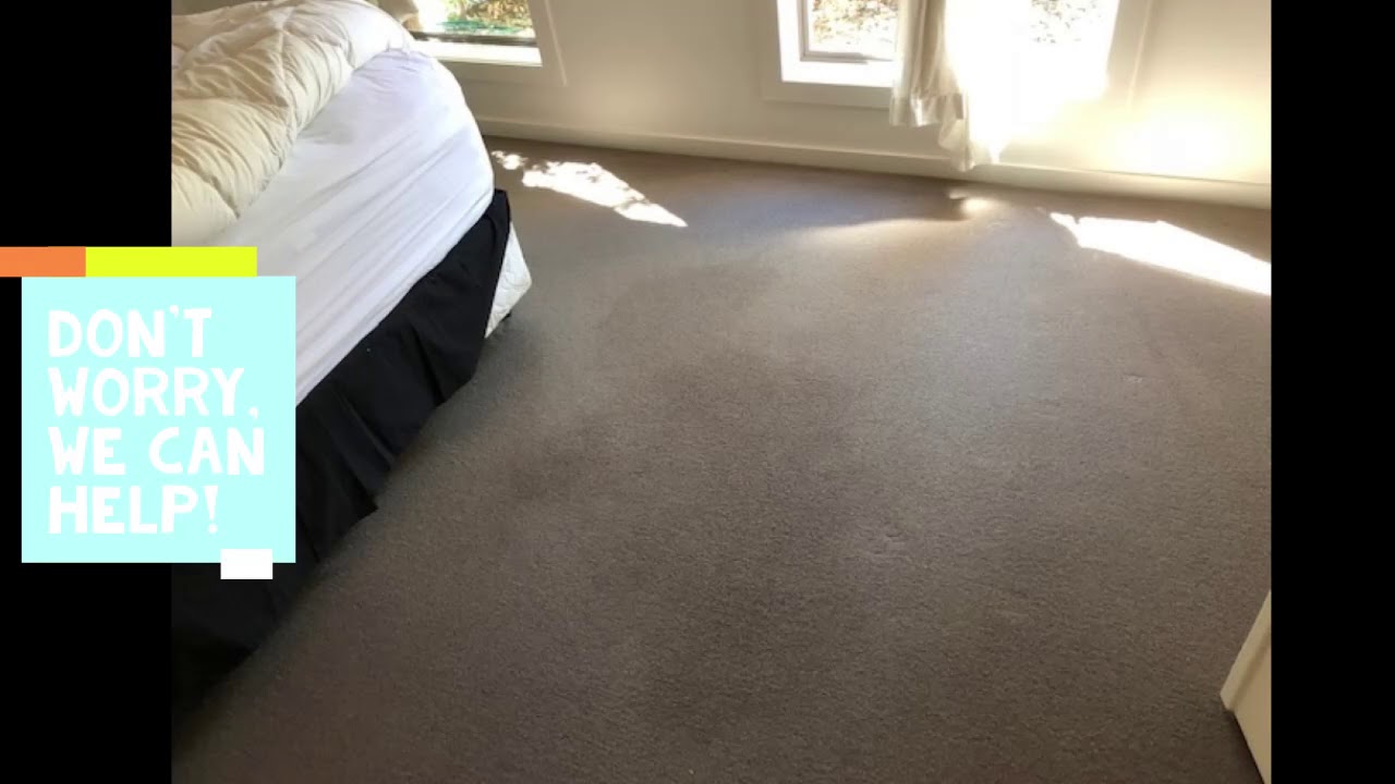 Carpet Cleaning Melbourne - Stain Removal