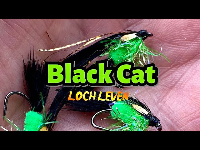 big fish hook name 9KM Catfish Hooks Big River Hooks 25~100Pcs Live Cut Bait Fishing Hook for  Catfishing Flathead Worm Hook Saltwater Freshwater