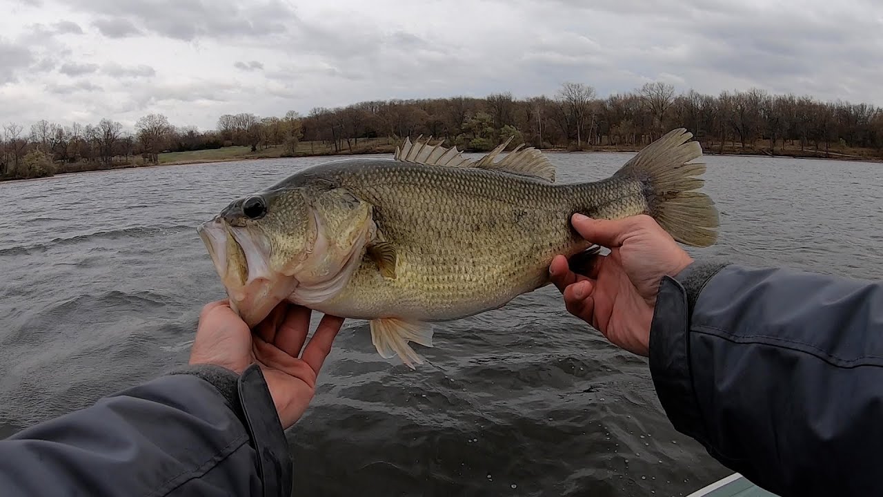 Chatterbait Fishing Kent Lake Michigan YouTube