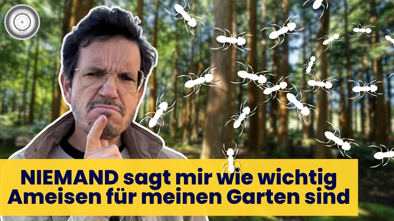 sehr schade dass ich es erst jetzt weiß