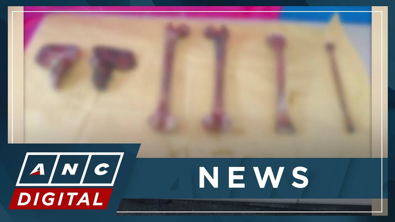 DOJ reports 57 bones recovered in Taal lake this month as search for missing sabungeros continues