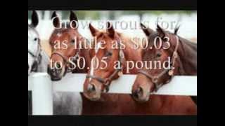Fodder Feeder System Horse Solution Hyroponic Grower