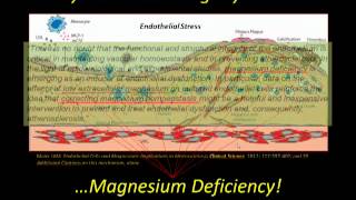 Misled and Misfed, What they don't want you to know about Magnesium