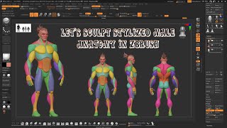 lets sculpt stylized male anatomy in Zbrush