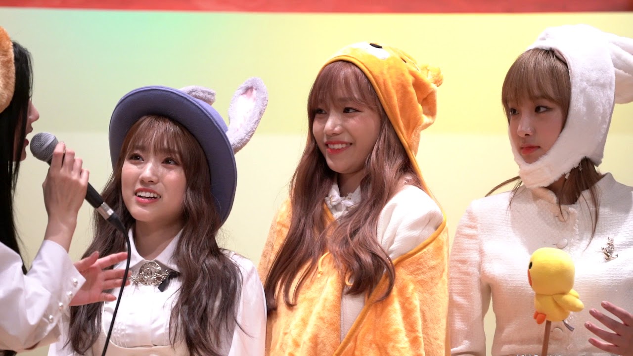 181103 아이즈원 심석홀 팬사인회 잡담+채원 아름다운색 조금