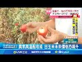 農作物受損
