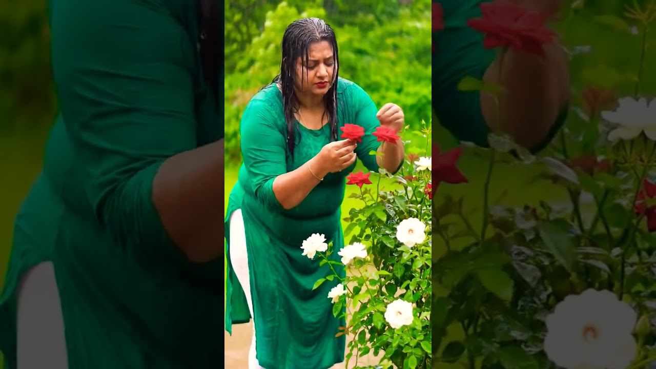 "Rainy Day Rose Picking – Realistic Scene" 