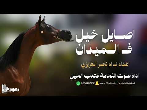 شيلة اصايل خيل فالميدان آداء صوت الفخامه متعب الخيل جديد2025حصريا
