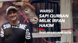 Sapi Qurban milik Irfan Hakim yang Legowo: Wariso  drh. Rajanti Talk with Animals