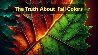 The Violent Truth Behind Fall Colors