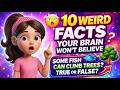 10 Weird Facts Your Brain Won’t Believe 🤯 | Seha Cutie