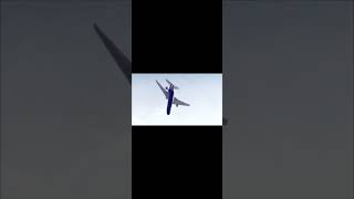 Fedex Flight 705, Pilot Was A Hero