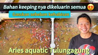 Download Lagu DITEMPAT INI KOI BAHAN KEEPINGNYA KELUAR SEMUA BOLO…!!! MP3 Download Lagu DITEMPAT INI KOI BAHAN KEEPINGNYA KELUAR SEMUA BOLO…!!! MP3