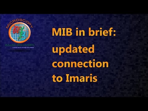 MIB in brief: updated connection to Imaris