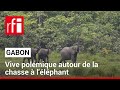 Gabon : vive polémique autour de la chasse à l