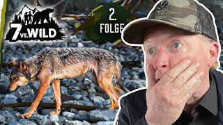 Joey Kelly reagiert auf 7 vs. Wild: Teams - Wolfsgebiet | Folge 2