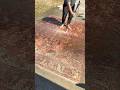 POV: My wife asked me to clean the rug but I’m just a simple man