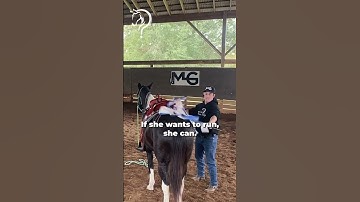 Finding The Holes In Your Horse’s Training! Part 11! | The Horse Guru - Michael Gascon