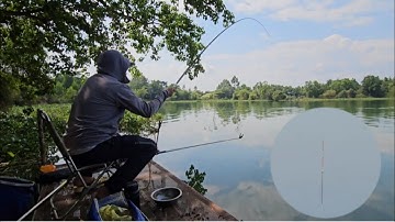 Câu đài tự nhiên cafe bến cảng hồ trị an cá rô phi to ăn nhịp phao nhẹ | câu cá tự nhiên fishing