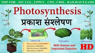 Photosynthesis in hindi | प्रकाश संश्लेषण | Biology For SSC CGL, Bank PO, SSC-CPO, RAILWAY EXAM