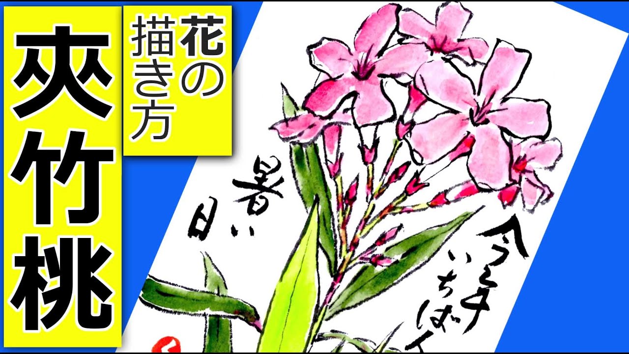 キョウチクトウの花の描き方 夏の花 7月 8月 9月 夏 初秋の絵手紙イラスト Youtube