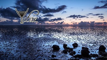 Vitae – Endless Garden (feat. Joran + Skaldir) Photos by Daniel Wirtz FotoArt