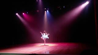 Coreografia Ninguém Explica Deus Por Nicoly Souza