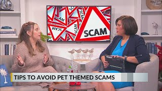 On Your Side with the BBB: Tips to avoid pet themed scams