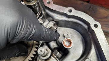 Ford Focus & Fiesta DPS6 | Codes P287B + P2832 or P2837