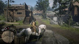 Red Dead Redemption 2_20240120004720