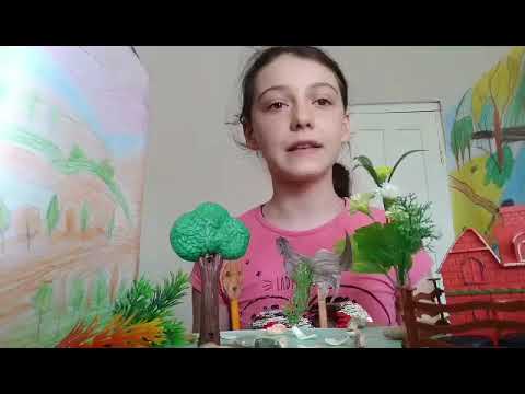 ხუნწის საჯარო სკოლის მოსწავლეებმა კომპლექსური დავალების ფარგლებში საკუთარი იგავ-არაკები შექმნეს