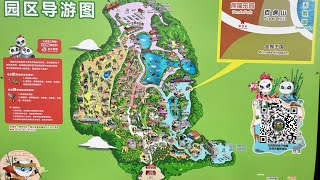 Chimelong Safari Park, Guangzhou, China by 💜IZE🩷  106 views 1 year ago 12 seconds